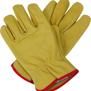 Gloves PNG
