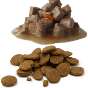Dog food PNG
