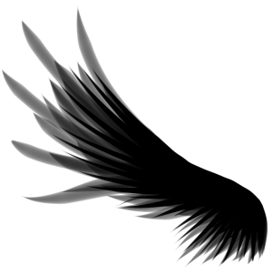 Wings PNG