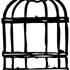 Cage bird PNG