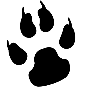 Paw PNG