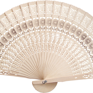 Hand fan PNG