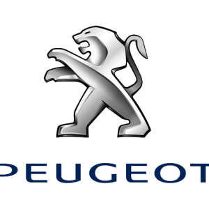 Peugeot PNG