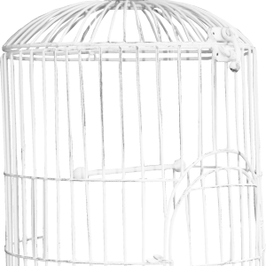 Cage bird PNG