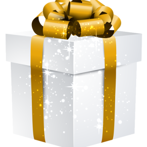 Gift box PNG