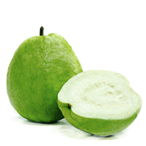 Guava PNG