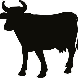 cow PNG