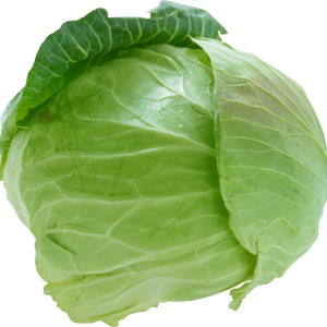Cabbage PNG