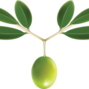 Olive PNG