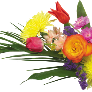 Bouquet flowers PNG