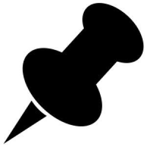 Pin PNG