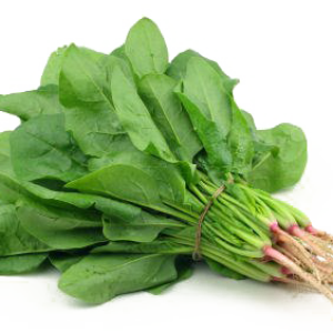 Spinach PNG