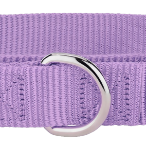 Dog collar PNG