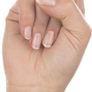 Hands PNG, hand image free