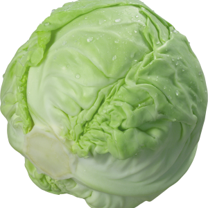 Cabbage PNG