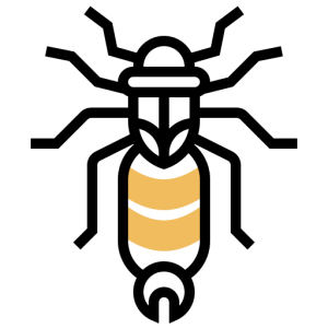 Earwig PNG