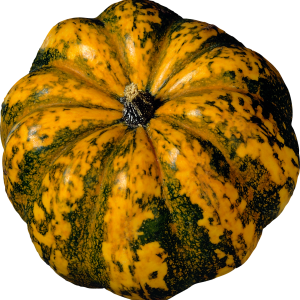 Pumpkin PNG