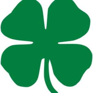 Clover PNG