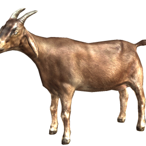 Goat PNG