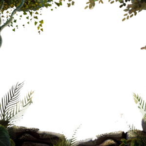 Jungle PNG