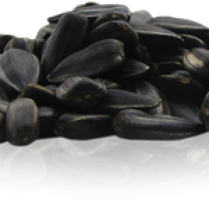 Sunflower seeds PNG