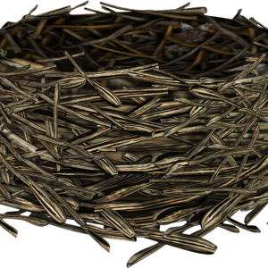Nest PNG