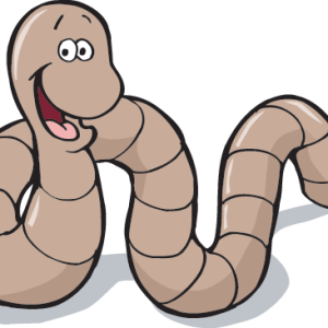 earthworm worm PNG