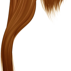 Women hair PNG image