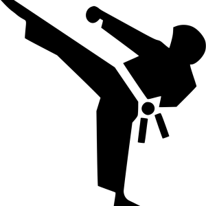 Karate PNG