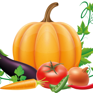 Pumpkin PNG