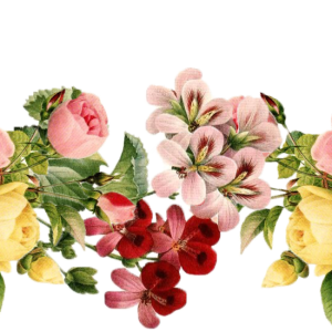 Wedding flowers PNG