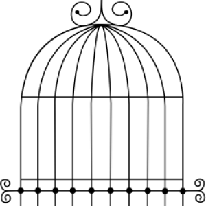 Cage bird PNG