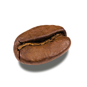 Coffee beans PNG
