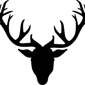Moose, elk PNG