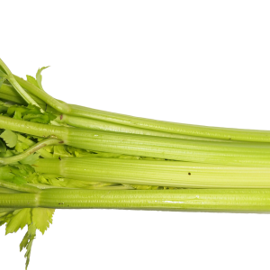 Celery PNG