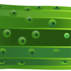 Freach cucumber PNG picture