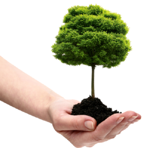 Soil in hand PNG