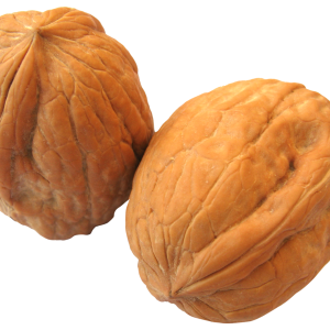 Walnut PNG