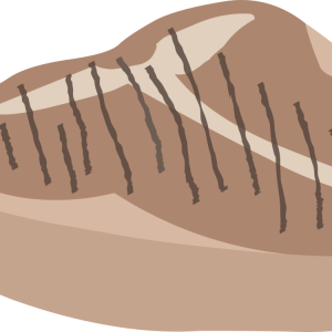 Steak meat PNG