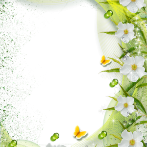 Floral frame PNG