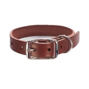 Dog collar PNG