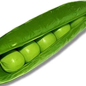 Pea PNG