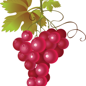 Grape PNG image