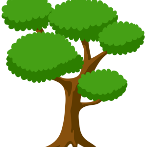 tree PNG