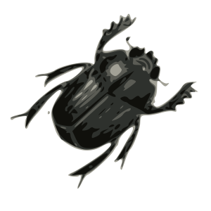 bug PNG image