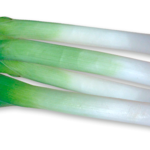 Leek PNG