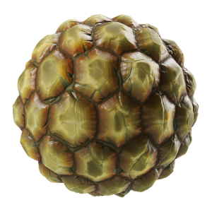Artichoke PNG