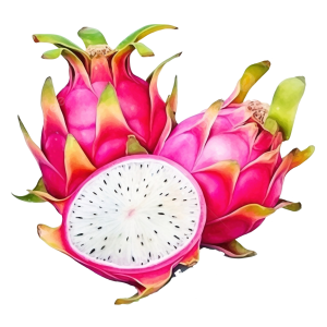 pitaya PNG