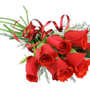 Bouquet flowers PNG