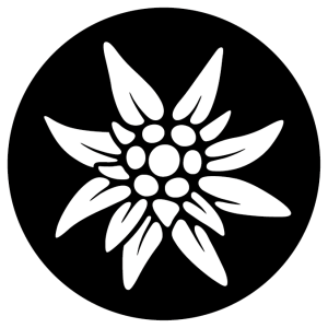 Edelweiss PNG